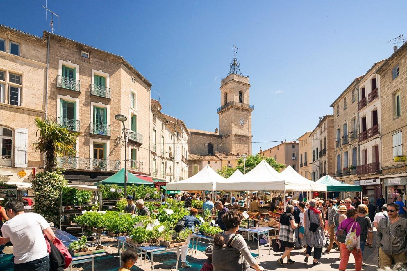 Appartamento La Terrasse Du Clermontais Esterno foto